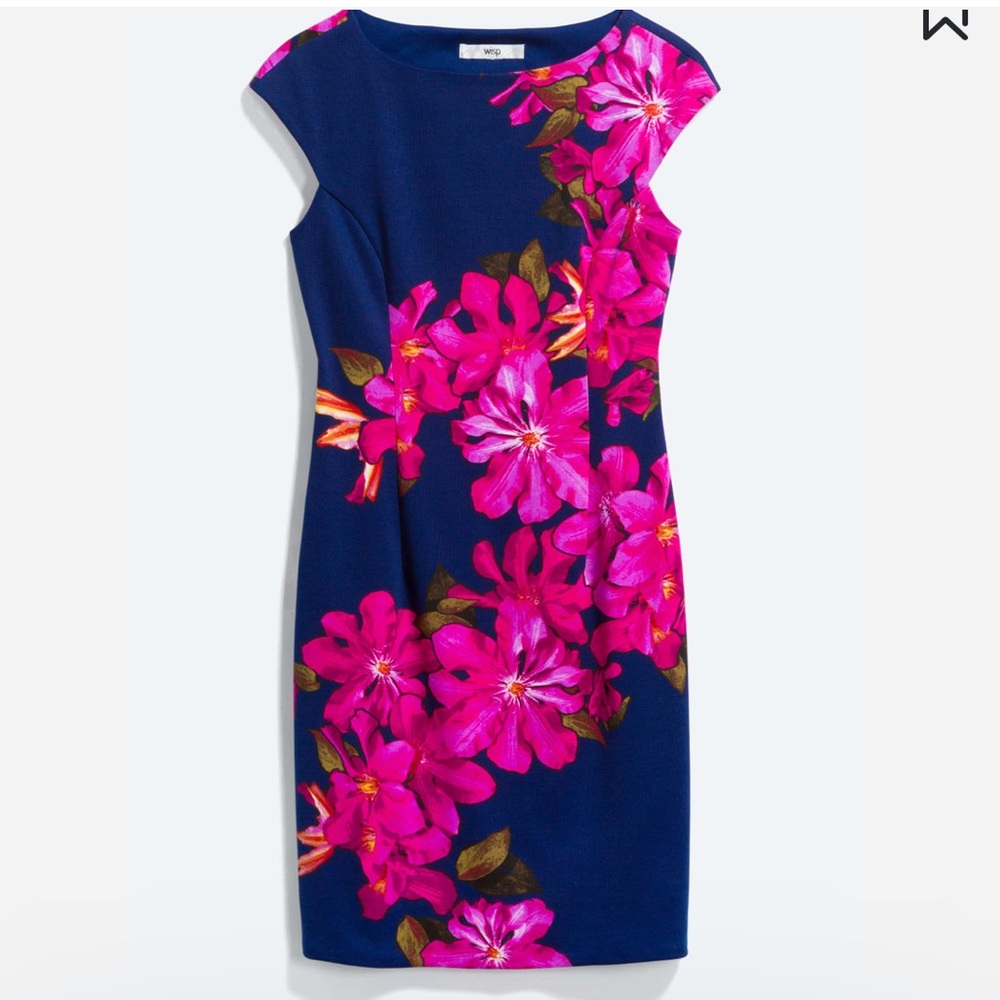 Wisp Dress Size 4